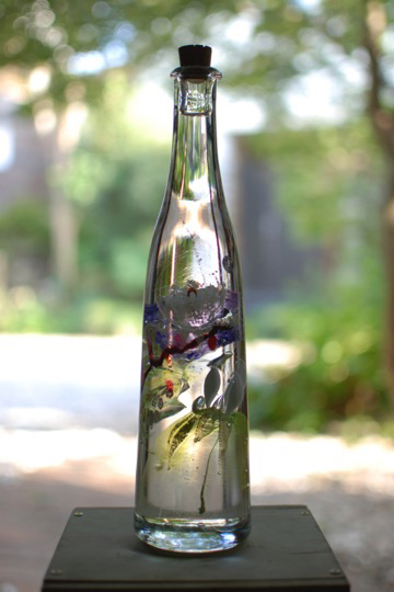 海藤博《植物瓶》